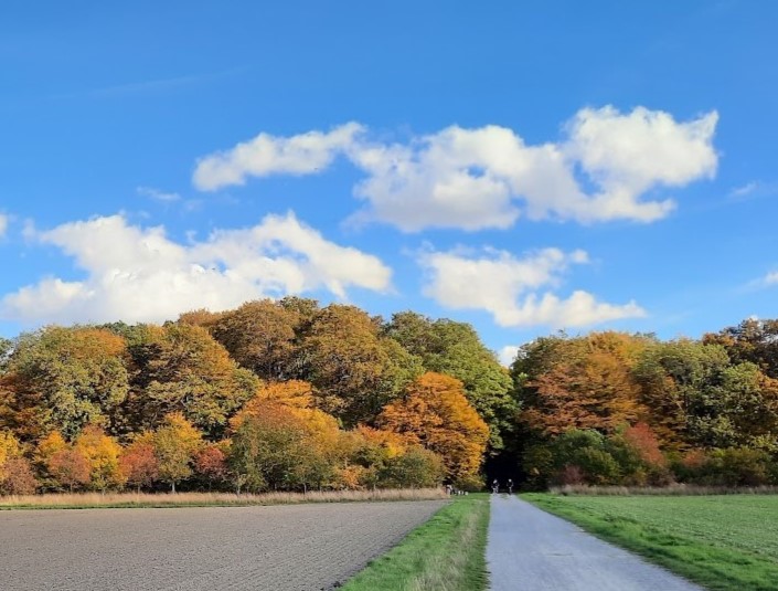 Hemmingen Wanderung